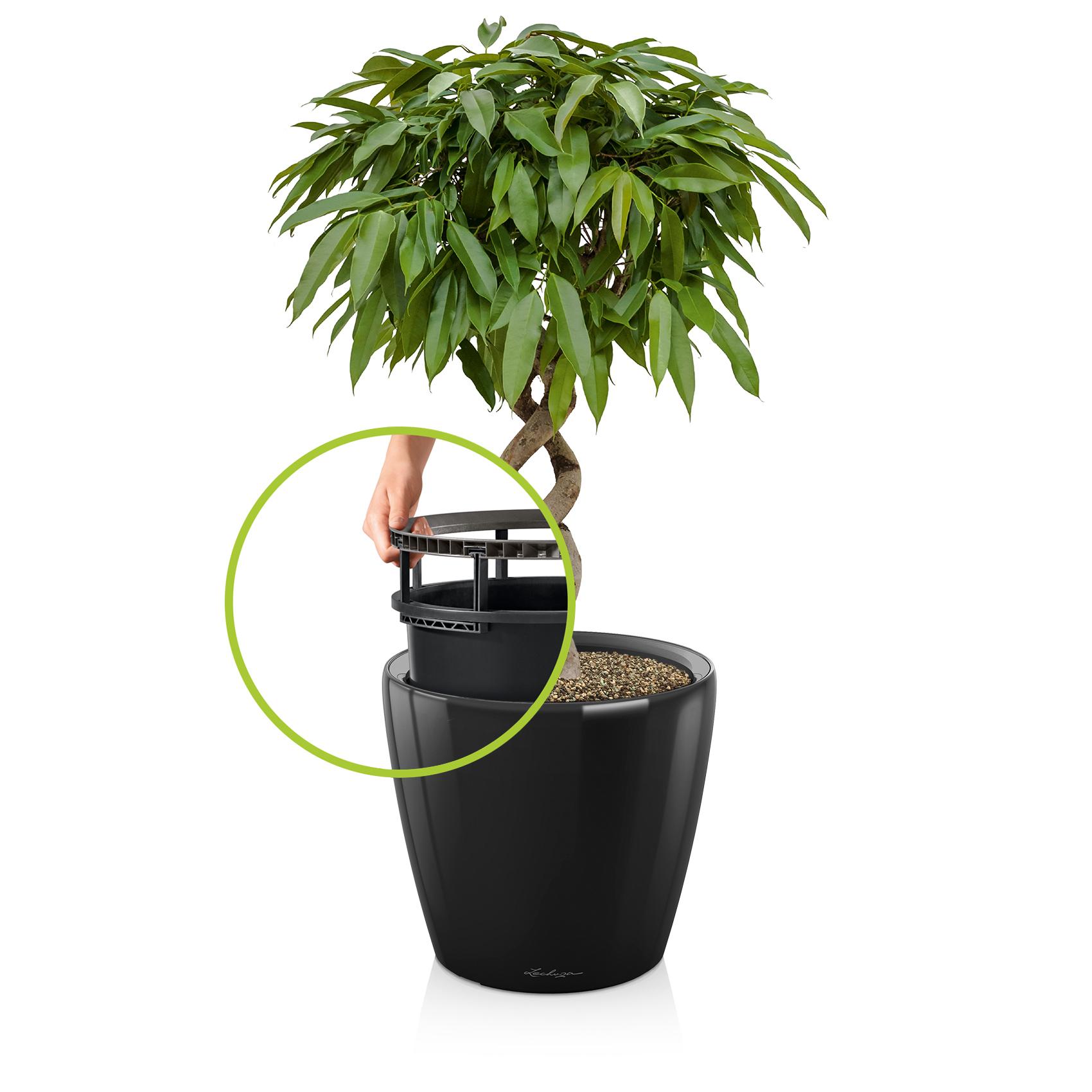 CLASSICO LS 21 black high-gloss